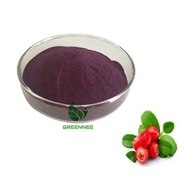 Organik Kızılcık Meyve Özü Kızılcık Suyu Tozu Kızılcık Tozu